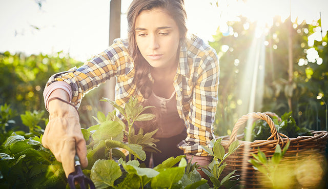Wat betekent Biodynamisch voor jouw huid?