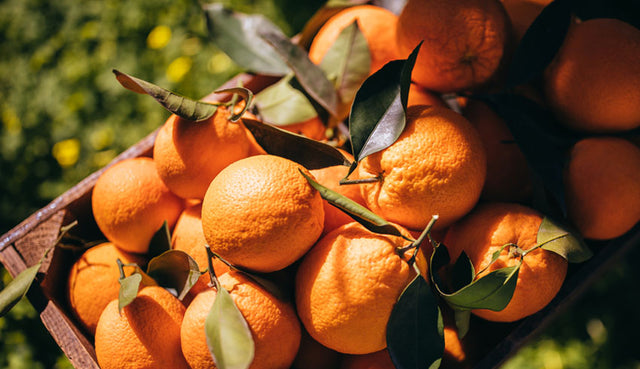 Vitamine C: Wat doet het voor je huid?